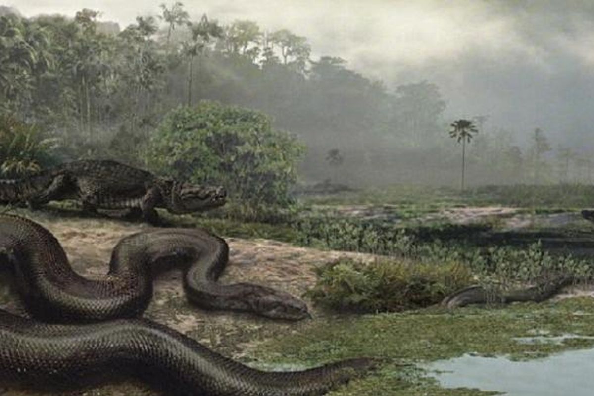 Ular Titanoboa